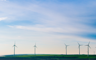 GRØN ENERGI HOS ILSE JACOBSEN HORNBÆK