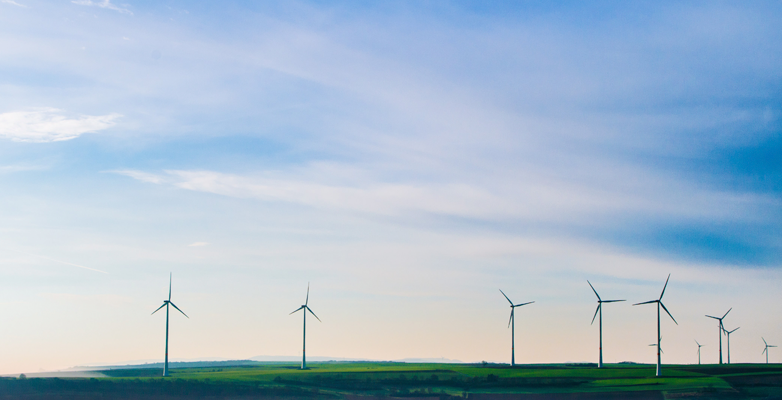 GRØN ENERGI HOS ILSE JACOBSEN HORNBÆK